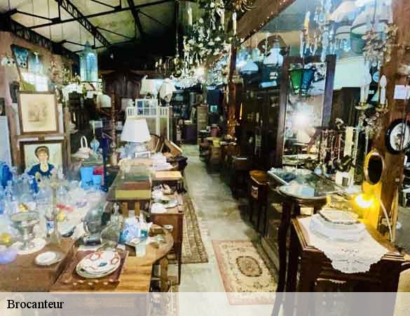 Brocanteur  bercheres-saint-germain-28300 Orticat Débarras