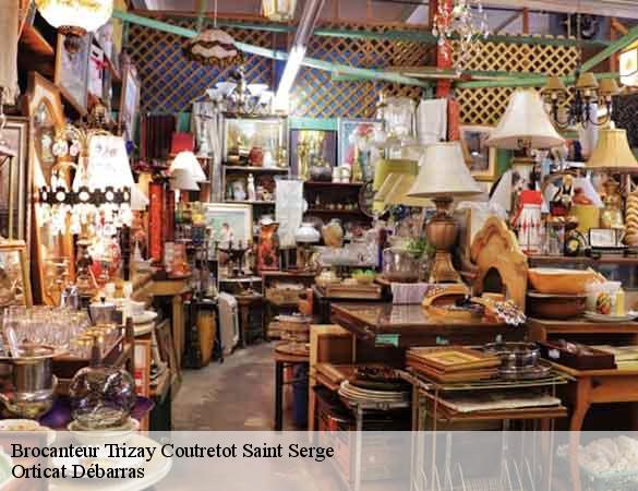 Brocanteur  trizay-coutretot-saint-serge-28400 Orticat Débarras